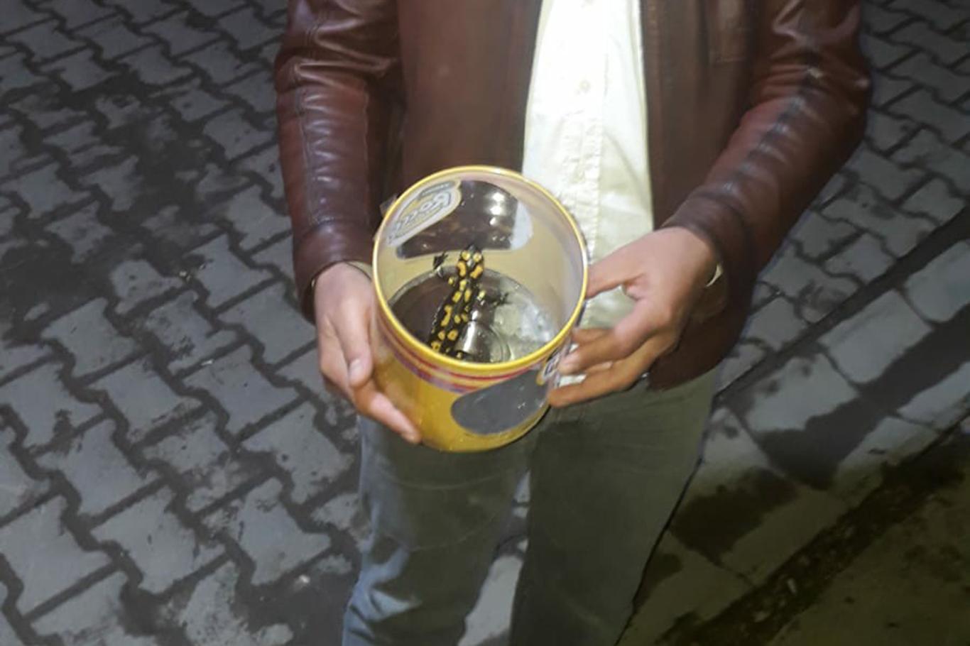 Elazığ'da nesli tükenmekte olan semender bulundu Elazığ'da nesli tükenmekte olan semender bulundu